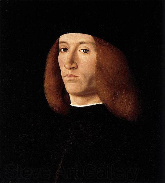 Andrea Solario Portrait of a Young Man after Norge oil painting art